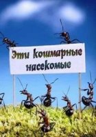 Эти кошмарные насекомые/Insects from Hell