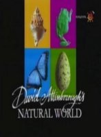 Наедине с природой/Wildlife on One