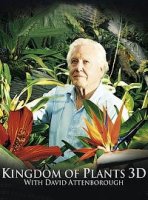 В королевстве растений/Kingdom of Plants 3D