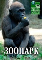 Зоопарк в Бронксе/The Bronx Zoo 2 сезон