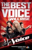 Голос Америки/The Voice 2 сезон