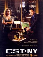 Место преступления: Нью-Йорк/CSI: NY 4 сезон