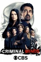 Мыслить как преступник/Criminal Minds 13 сезон