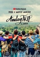 Старомодная поездка/Analog Trip