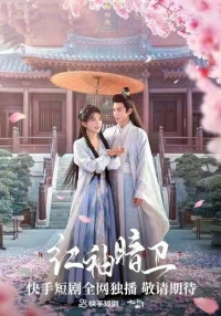 Тайный страж с красными рукавами/Red Sleeves