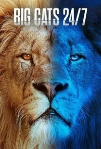 Большие кошки днем и ночью/Big Cats 24/7