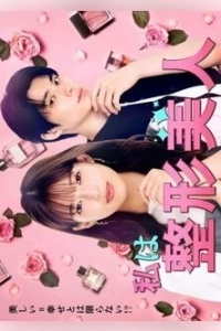 Я искусственная красавица/Watashi wa Seikei Bijin